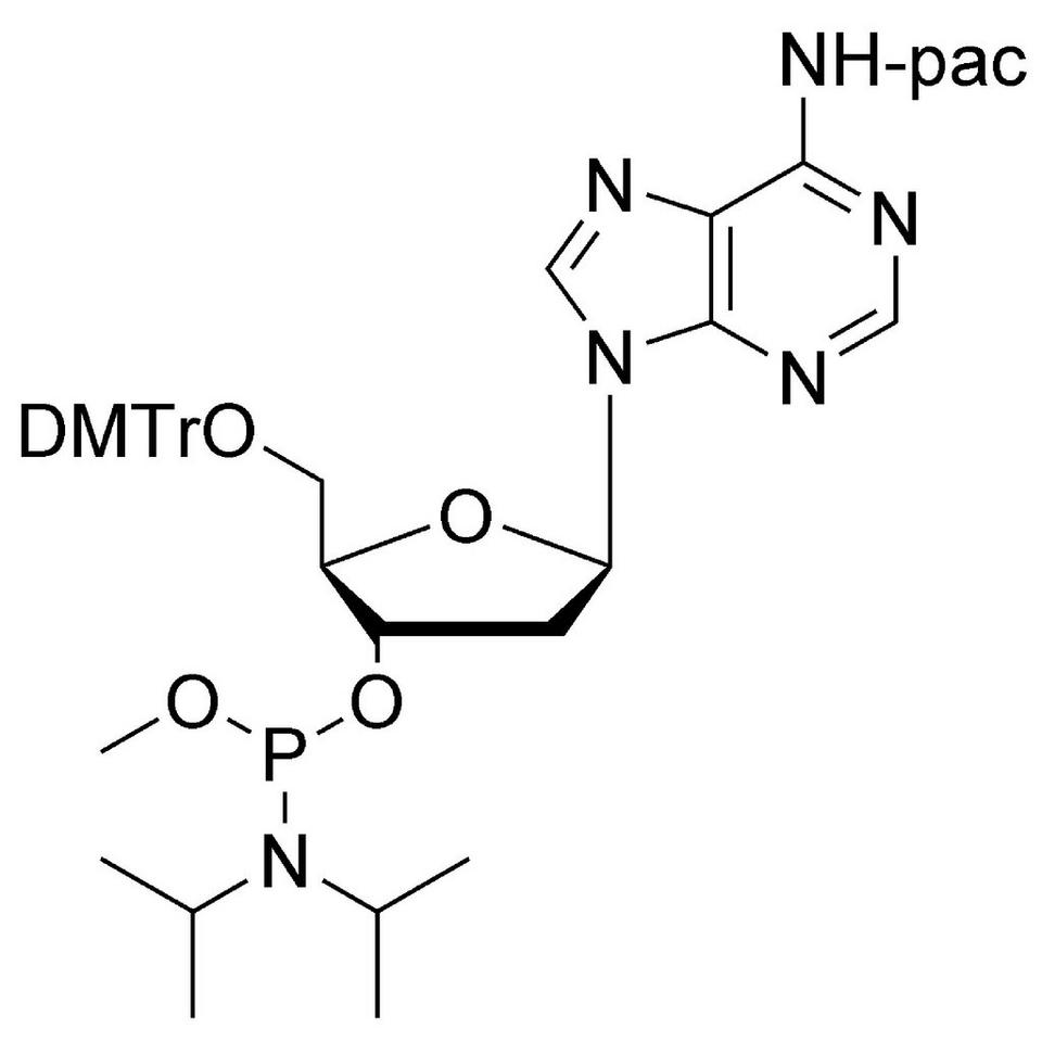 dA (Pac) Me-Phosphoramidite